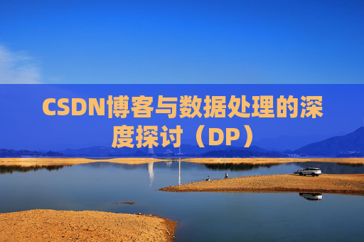 CSDN博客与数据处理的深度探讨（DP）